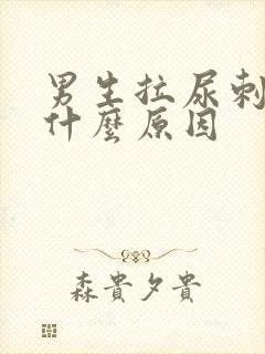 男生拉尿刺痛是什么原因