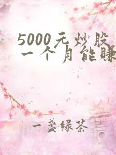 5000元炒股一个月能赚多少