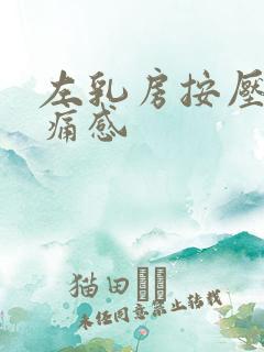 左乳房按压有刺痛感