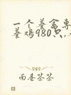 一个养禽专业户养鸡980只,养的鸡比鸭