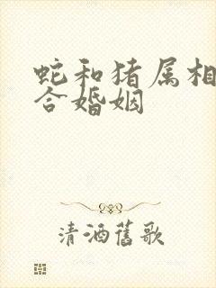 蛇和猪属相合不合婚姻