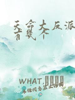 天命大反派女主有几个