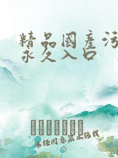 精品国产污污污永久入口