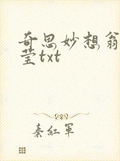 奇思妙想翁妇小莹txt