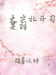 大宋北斗司尊上是谁