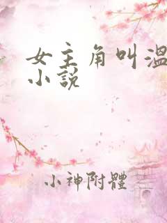 女主角叫温雅的小说