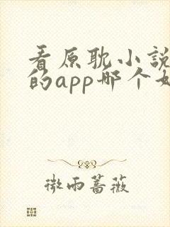看原耽小说免费的app哪个好