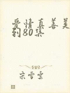 爱情真善美41到80集