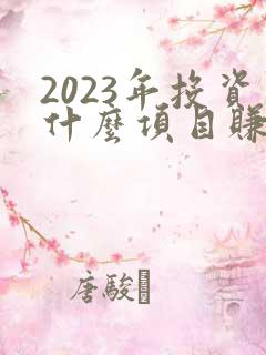 2023年投资什么项目赚钱