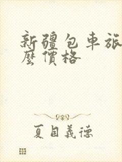 新疆包车旅游什么价格