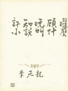 许知晚顾曜辰的小说叫什么名字