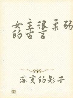 女主很柔弱漂亮的古言