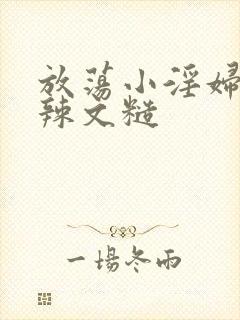 放荡小淫妇h肉辣文糙