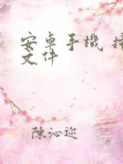 安卓手机 扫描文件