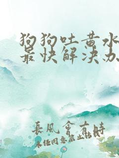 狗狗吐黄水拉稀最快解决办法