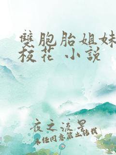 双胞胎姐妹花 校花 小说