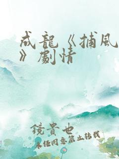 成龙《捕风追影》剧情