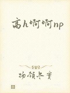 高h啊啊np