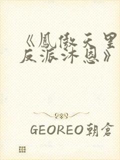 《凤傲天里黄毛反派沐恩》