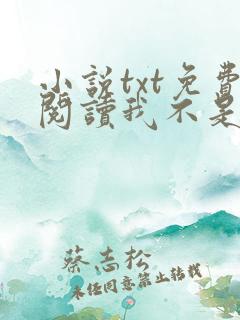 小说txt免费阅读我不是戏神