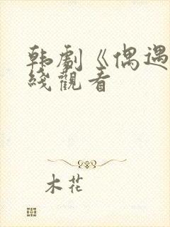 韩剧《偶遇》在线观看