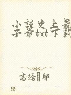 小说史上最强太子爷txt下载