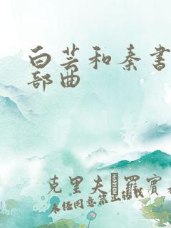 白芸和秦书记三部曲