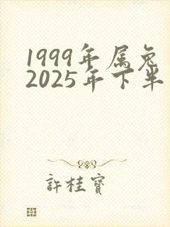 1999年属兔2025年下半年运势