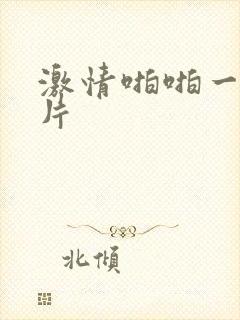 激情啪啪一级淫片