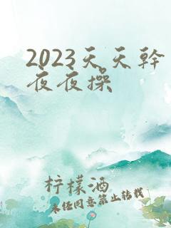 2023天天干夜夜操