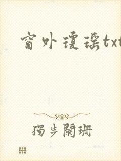 窗外琼瑶txt