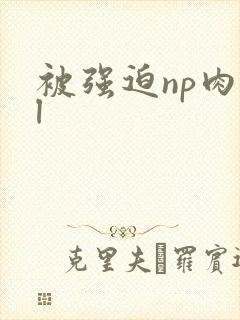 被强迫np肉bl
