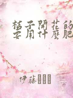 桔子开花的时候要用什么肥料