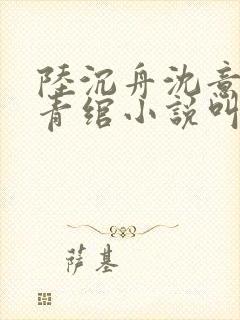 陆沉舟沈意欢林青绾小说叫什么名字