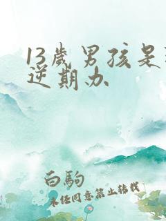 13岁男孩是叛逆期办