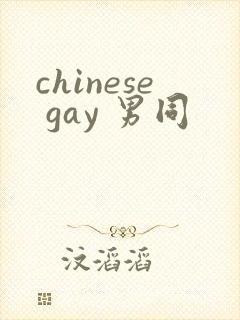 chinese gay 男同