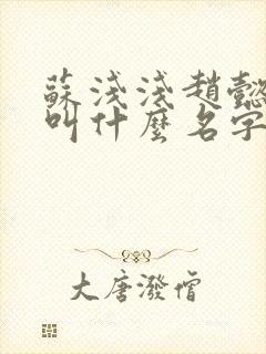 苏浅浅赵懿小说叫什么名字