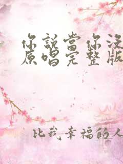 你说当你没来过原唱完整版