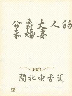 公爵大人的契约未婚妻