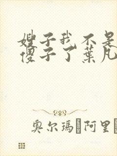 嫂子我不是真的傻子了叶凡小说免费阅读
