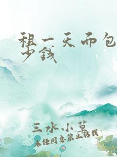 租一天面包车多少钱