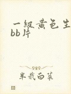 一级黄色生活bbb片