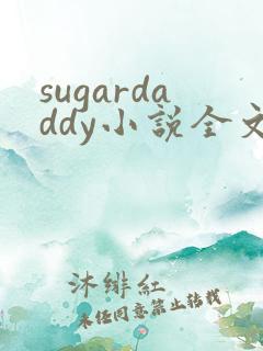 sugardaddy小说全文免费阅读