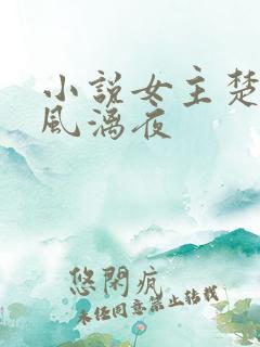 小说女主楚倾歌风漓夜