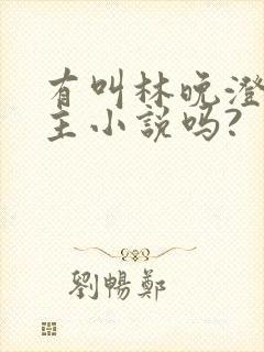 有叫林晚澄的女主小说吗?