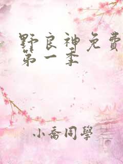 野良神免费观看第一季