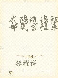 咸阳机场租车有哪几家租车公司