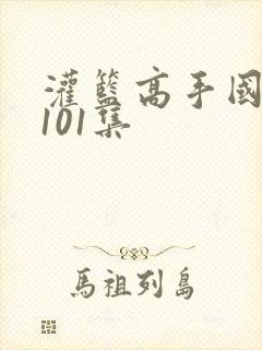 灌篮高手国语版101集
