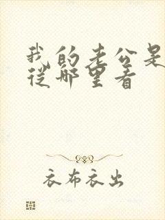 我的老公是冥王从哪里看