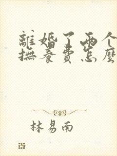 离婚了两个小孩抚养费怎么算